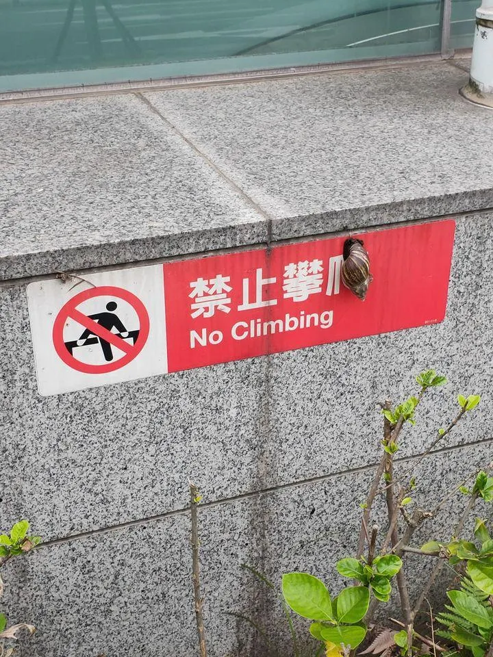 講不聽欸 (也沒在看啦)