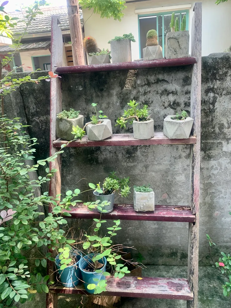 隨手拍 自成一格