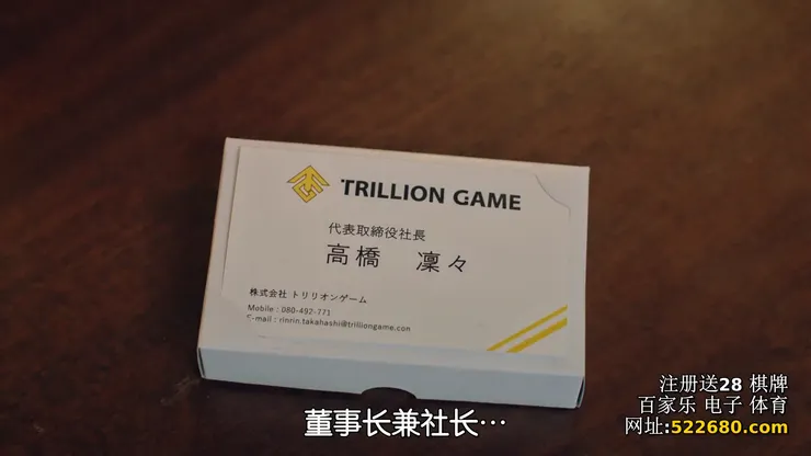 詐騙集團手法三(人頭董事長)