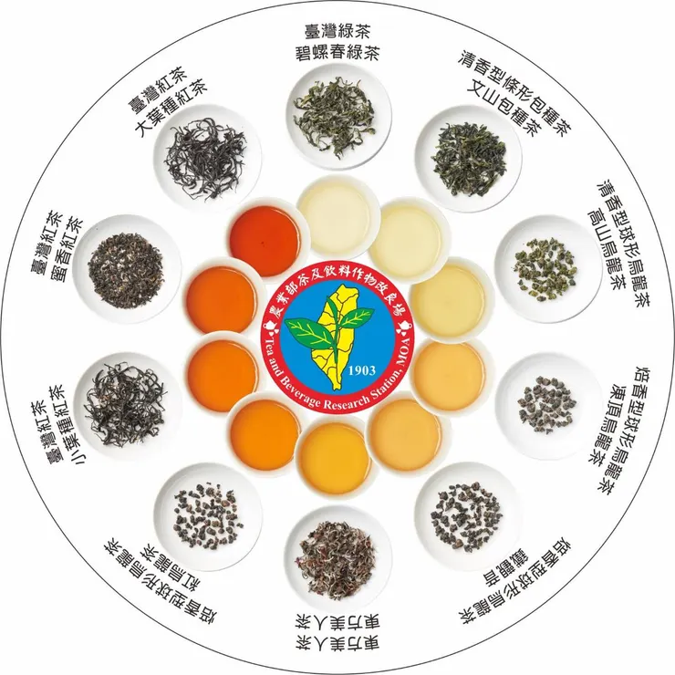 臺灣茶及湯色對照圖