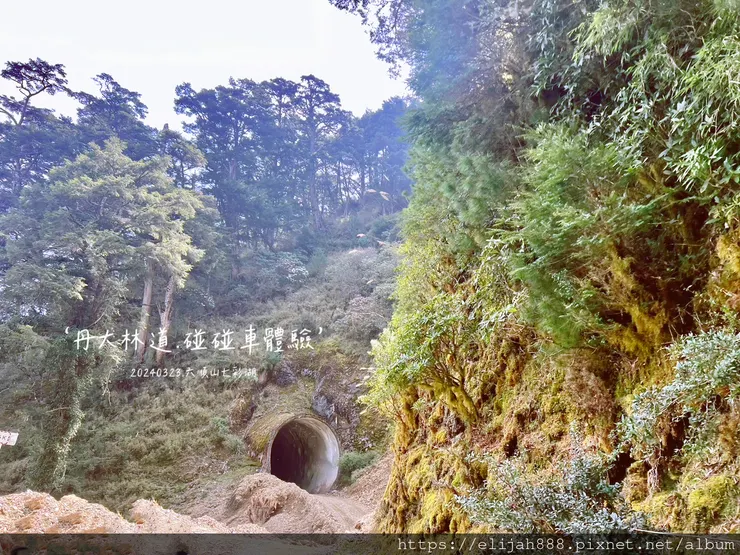 【丹大林道.六順山.七彩湖】南投縣地利村哈木山民宿/丹大林道