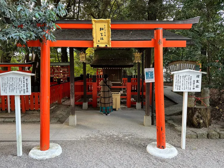 門口的相生樹被認為是夫妻情侶結緣的象徵，是下鴨神社有名的月老