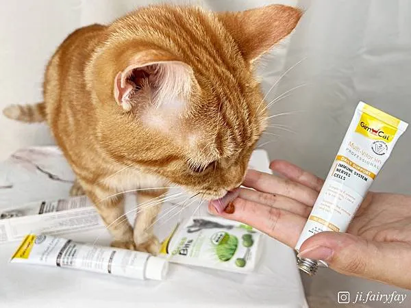 德國竣寶GimCat-超級維他命膏(專業版) 獸醫推薦的最佳營養補充品