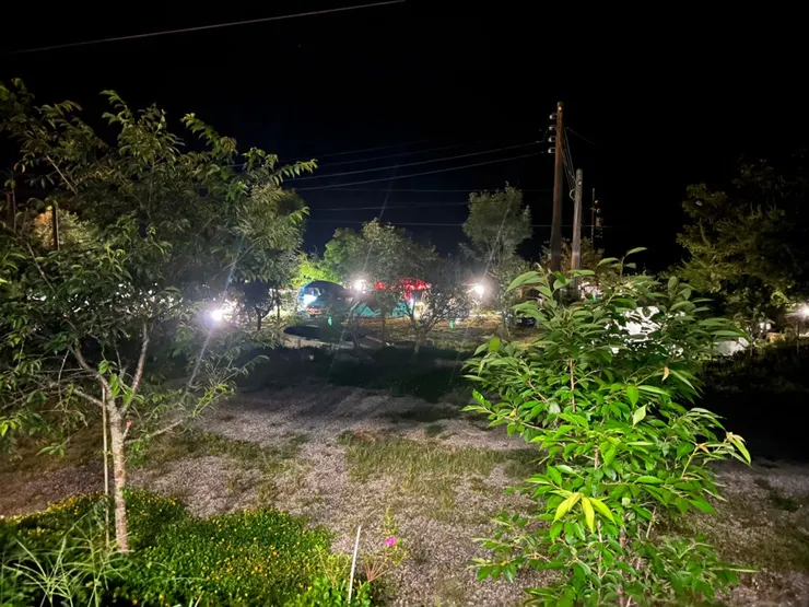 逛完草原,只好回到帳棚內休息睡覺