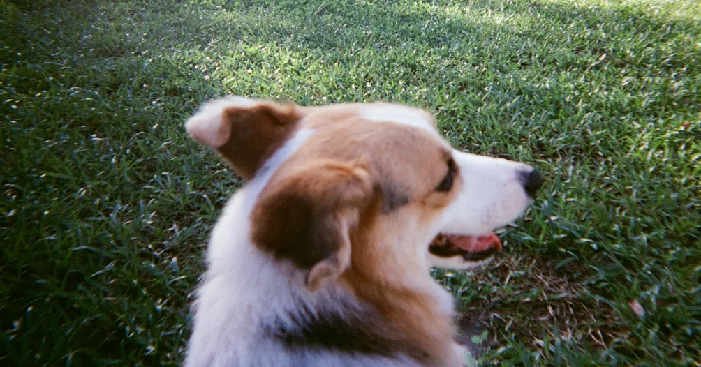 INTP 攝影日誌的沙龍