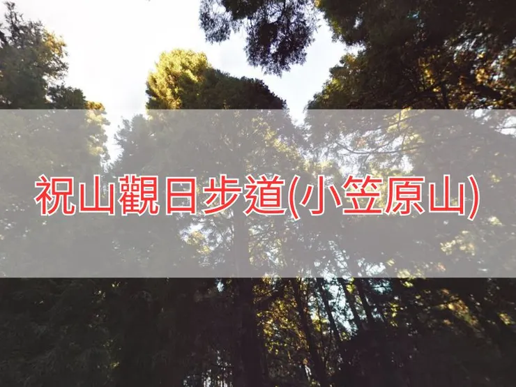 【嘉義】祝山觀日步道(小笠原山) | 全長里程:單程約2.6公里 | 難易度:低