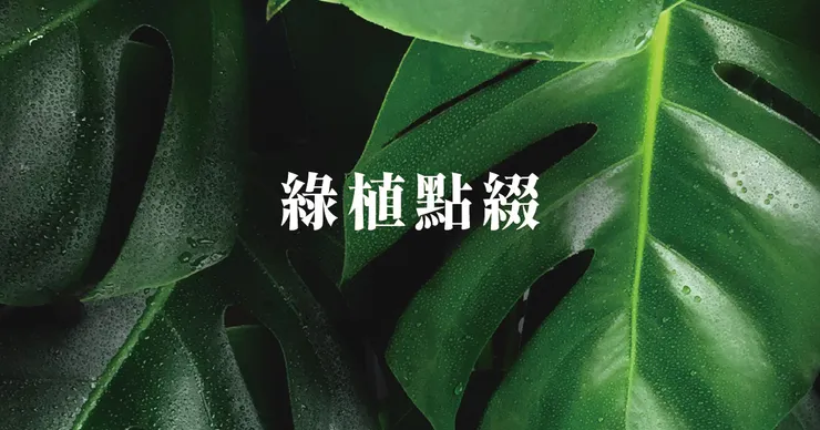 高雄轉裝推薦.高雄轉裝設計推薦.永續環保
