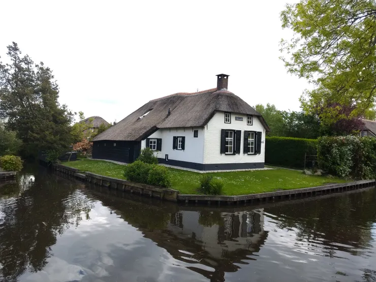 大家為的就是這個美景