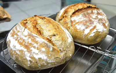 天然酵母-黑麥酵種應用記錄--之三