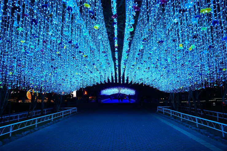 每年一定會有的彩燈隧道，今年居然特別普通（笑）