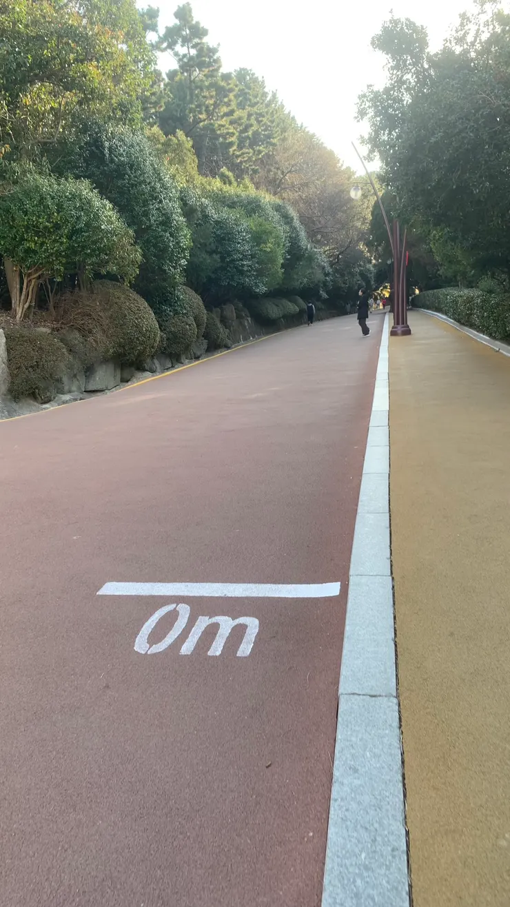 好像在比大隊接力。