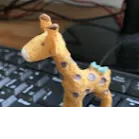 頸鹿敲鍵盤的沙龍