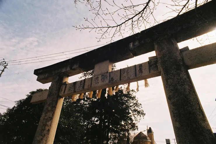 Nikon FM3a - Kodak Gold200