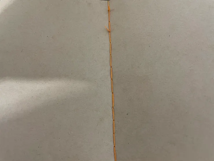 像這樣一條線，中間一 度線不夠，有打結，再重新穿線縫。（手殘黨有點歪）