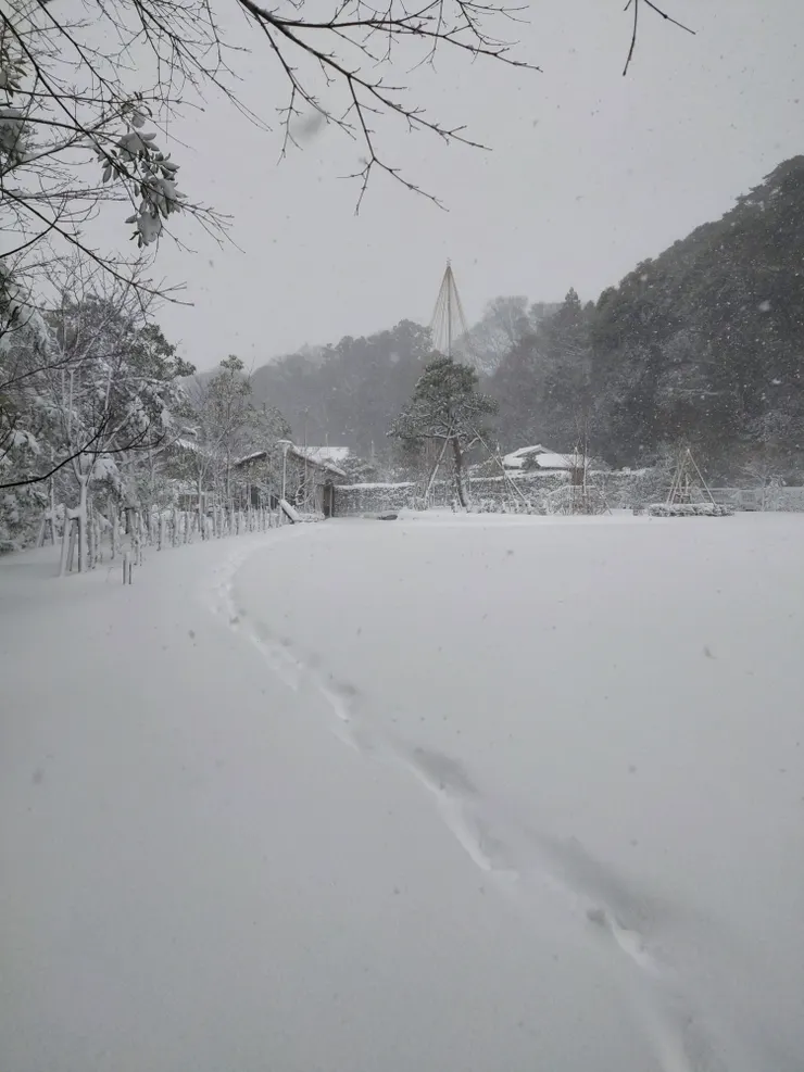 我的腳已不聽使喚,無法再往前走了