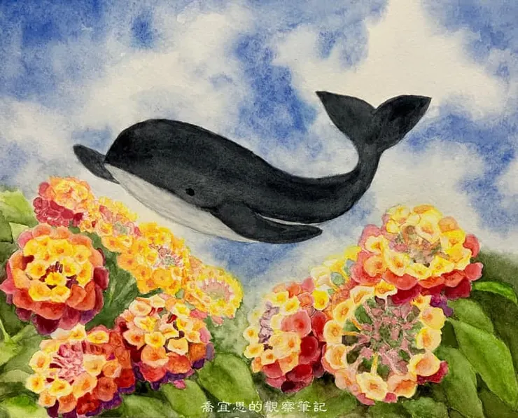 快樂的飛鯨