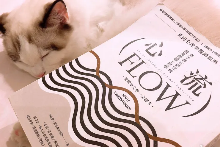 胖咪表示: 人類真辛苦，還得看書學習心流!