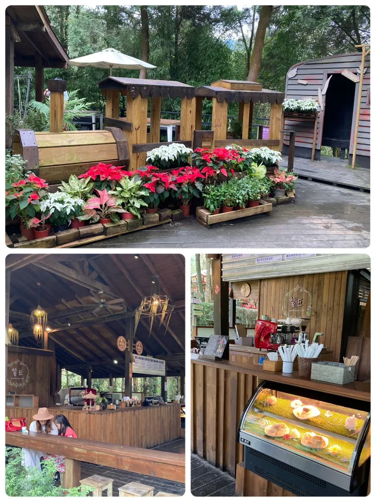 可以在紫丘咖啡館用餐