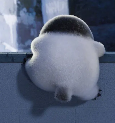 ♡冷門小知識分享♡