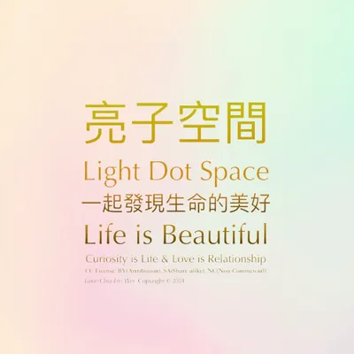亮子空間 Light Dot Space