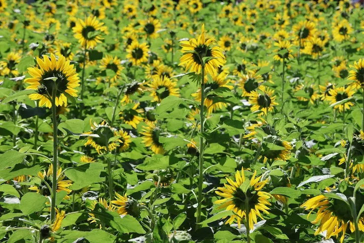 如果所有可能都存在，那現在的你，還算唯一嗎?
