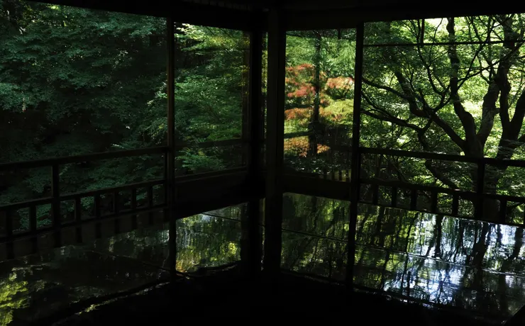 夏天的琉璃光院，四周環繞著翠綠的樹木和植物。