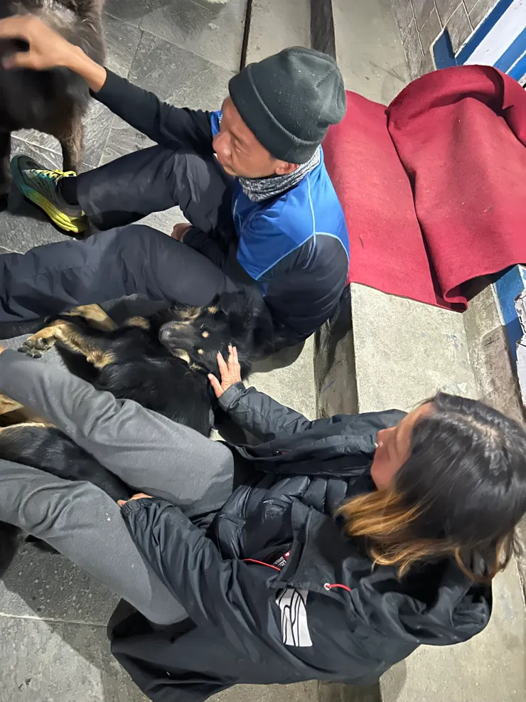 尼泊爾絕對是愛狗人的天堂