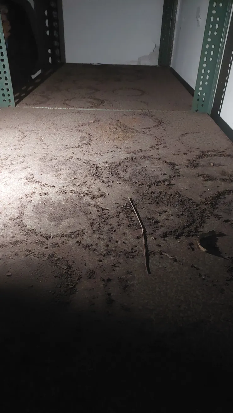 圖17－當時存放屍罐的痕跡