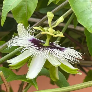 淼淼的牢騷窩的沙龍