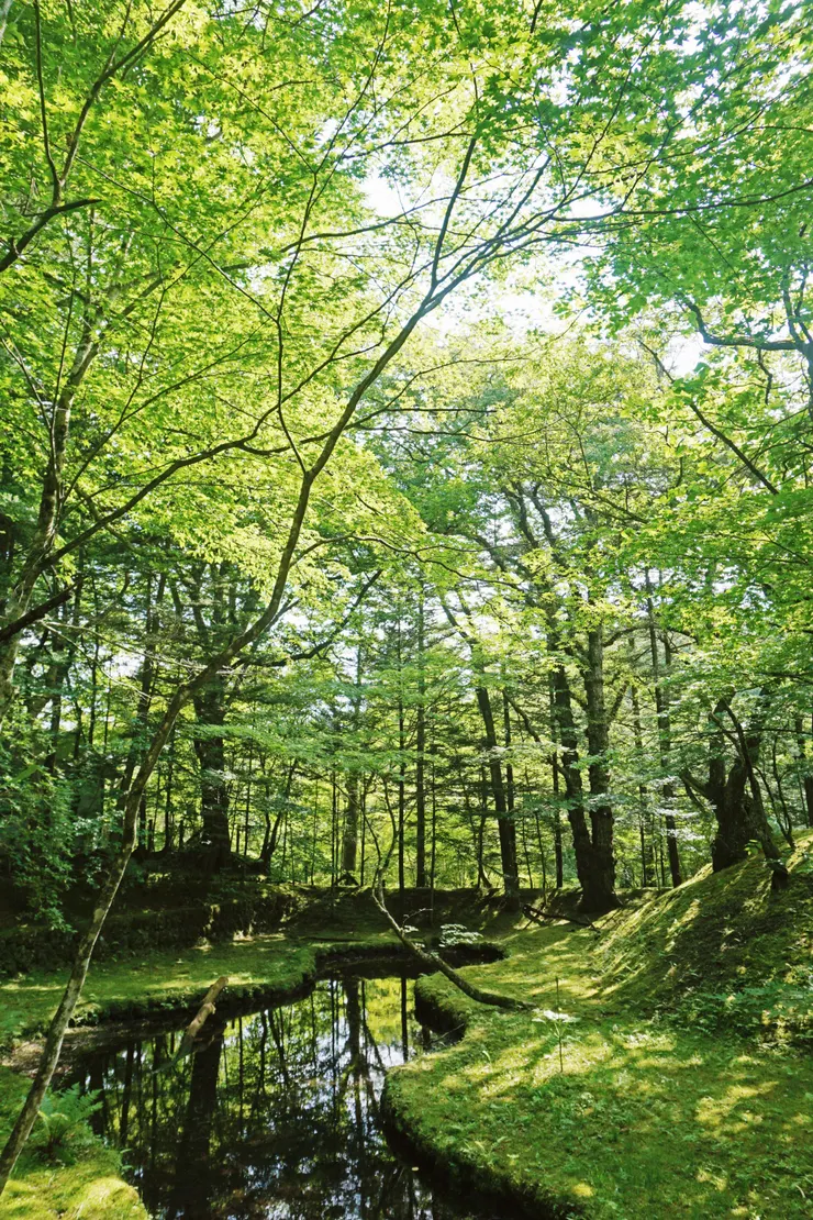 一旁小徑也別錯過，有著意想不到的驚喜。