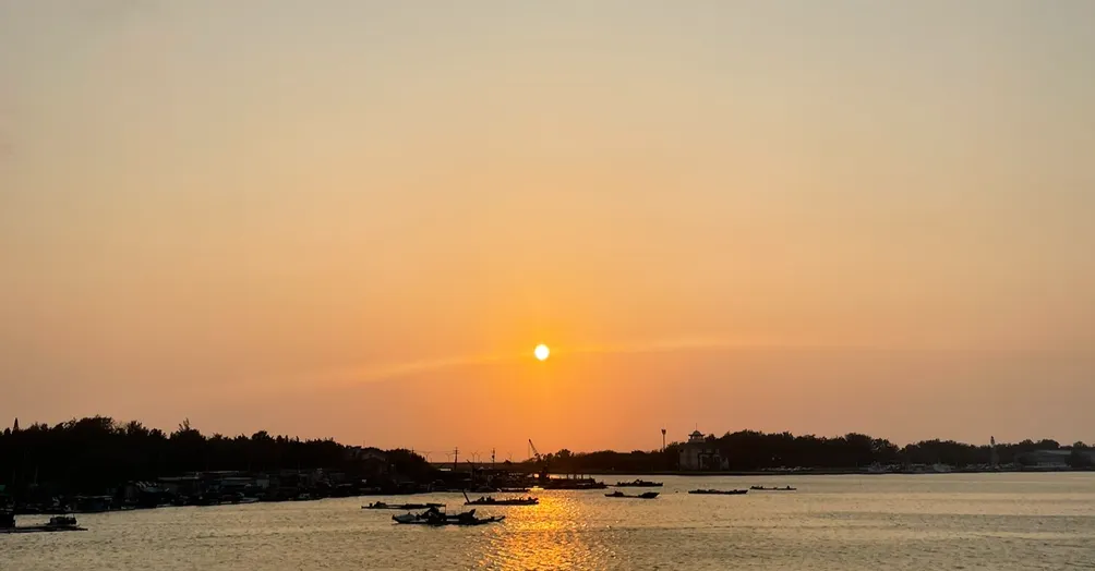 學飛的鷹與他的蹣跚旅程