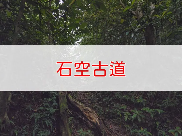 【宜蘭】石空古道 | 全長里程：4.7 km | 難易度：低