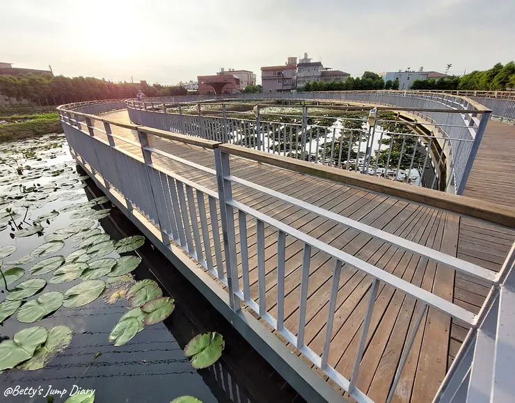 ▲2024桃園蓮花季/圖片來源:Betty's Jump Diary