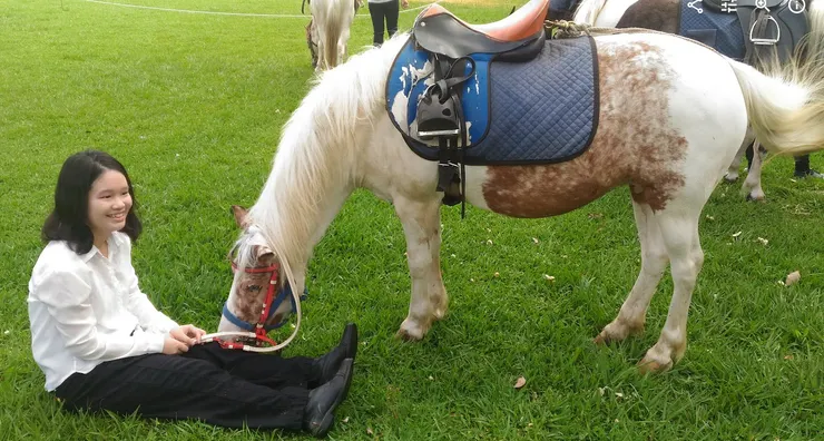 2018.5 馬和我在清大大草坪(註:我不是這匹馬的主人。)