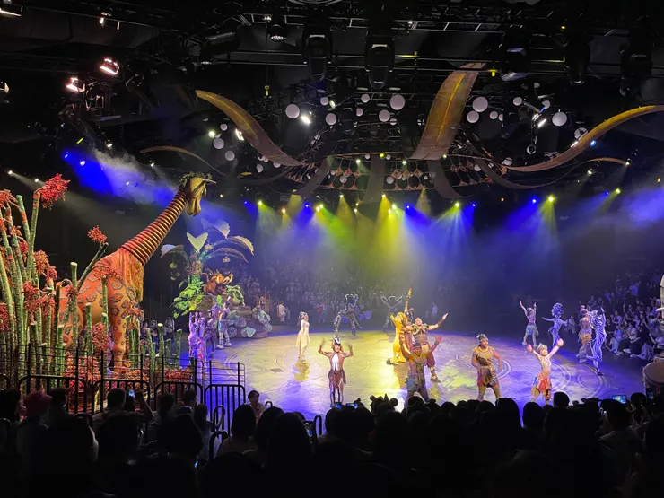 劇場表演~獅子王，非常精采，迪士尼必看演出。