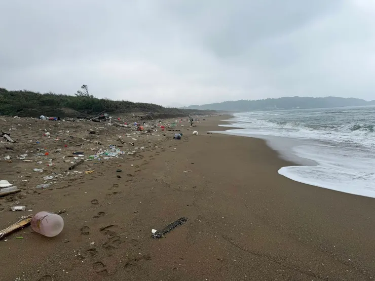 萬里海灘的垃圾