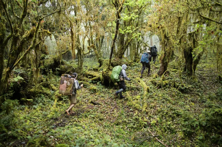 馬遠布農族丹社群回家隊伍正在關門古道Mahilav的途中。