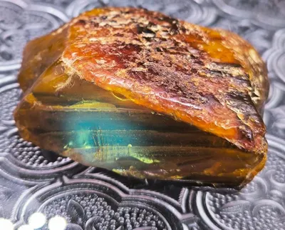 Natural Amber Rough 琥珀原礦。