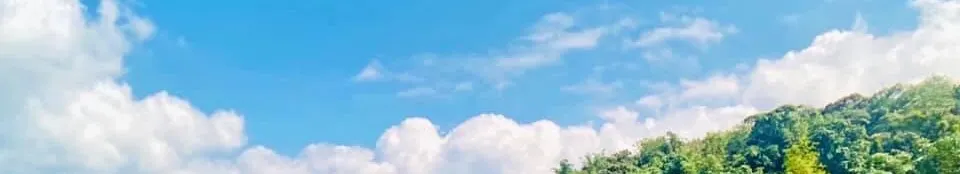 蘇菲雅生活筆記-Sophia Chen 的沙龍