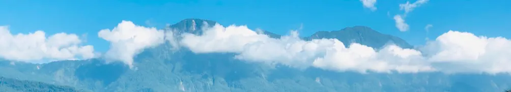 微笑貓咪 Smile Cat的沙龍