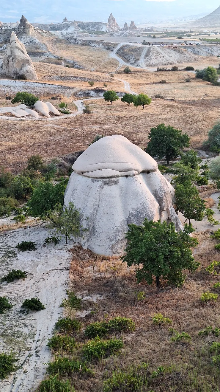 像不像孫越叔叔