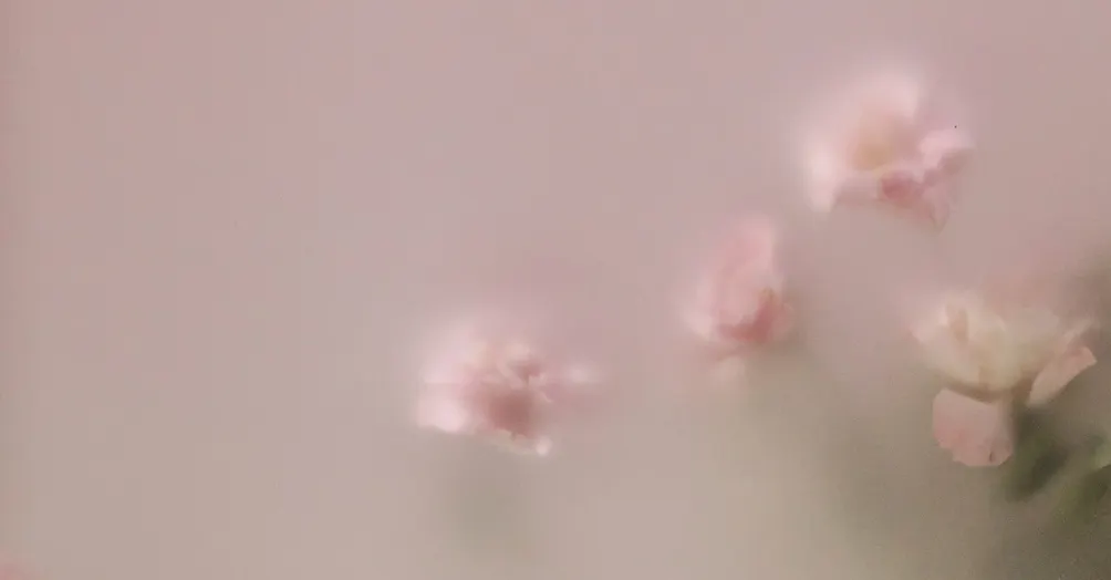 慢熟女子的沙龍