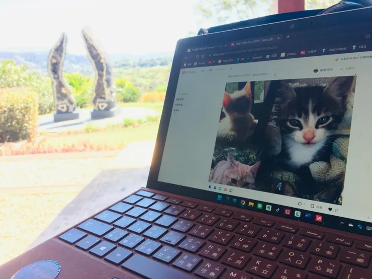 看著水晶 想著毛孩~