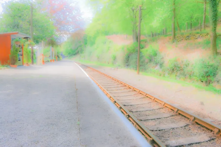 渺無人煙的鄉野間小車站