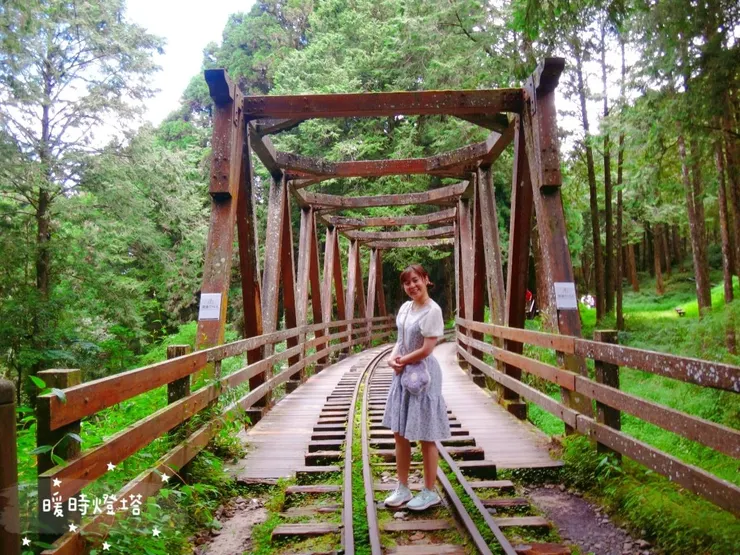 米雅於水山巨木步道一景