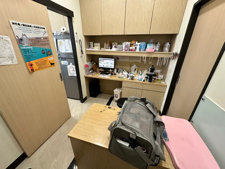 診間佈置得很溫暖，雖然來這的寵物還是很激動，至少還能給飼主一些安慰