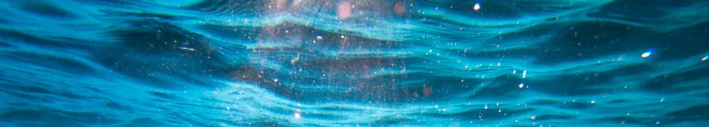 牡羊座不跟你講道理的沙龍