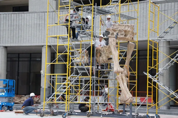 炳靈大夏巨龍的骨架很大也特別重