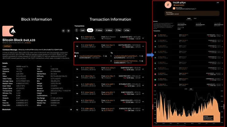 Figure 2-13, Bitcoin Blockchain Information