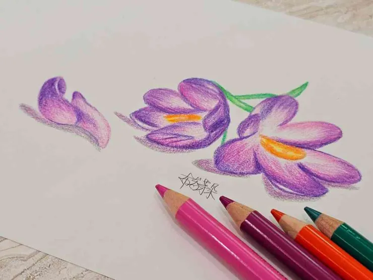 圖。文／布恣芽朵